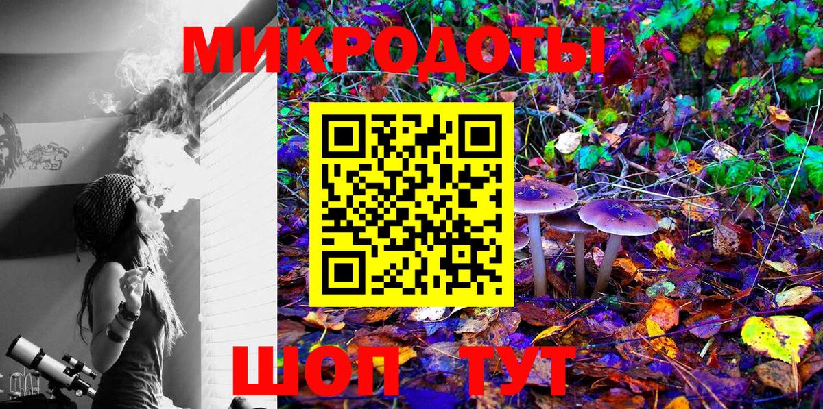 Галлюциногенные грибы Magic Shrooms  Вход с VPN  Каменка  цена   Галлюциногенные грибы MAGIC MUSHROOMS 