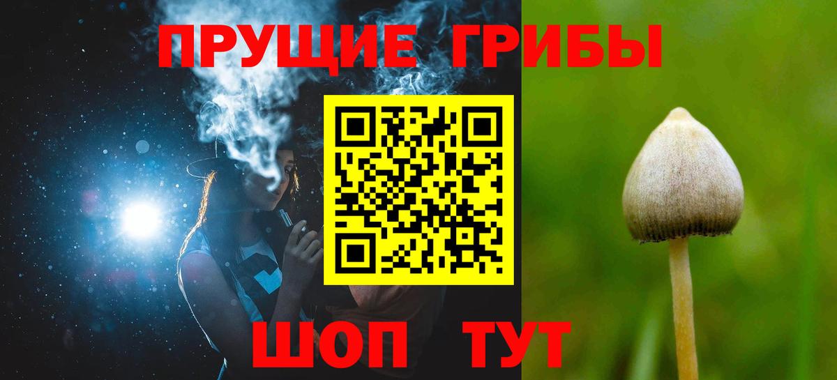 Псилоцибиновые грибы прущие грибы Каменка